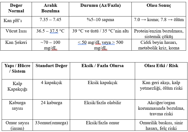 İnsan Vücudunda Kimyasal Denge ve Organ Yapı Sayısı